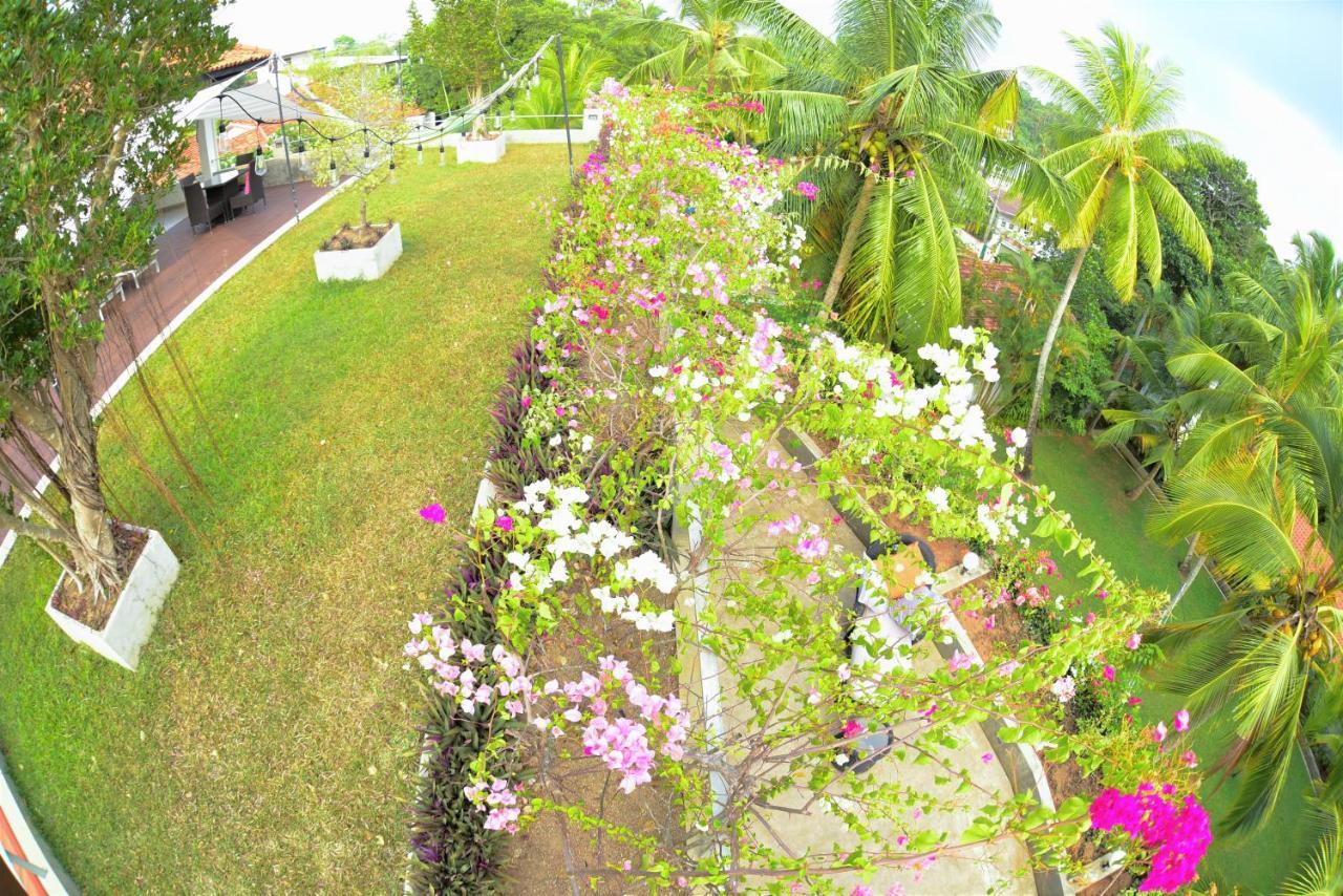 Tropical House - Jungleside Villa Hikkaduwa Esterno foto